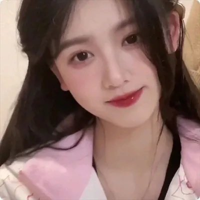 最后的维米尔